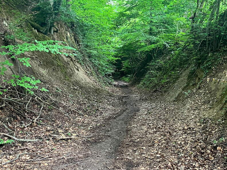 22-06-06 13-59-57 1066